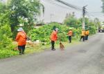 ดำเนินการตัดหญ้า เก็บกวาดขยะ ถนนภายในเขตเทศบาลตำบลพานทอง
