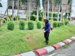ดำเนินการตัดหญ้า และทำความสะอาด บริเวณพื้นที่สาธารณะในเขตเทศ